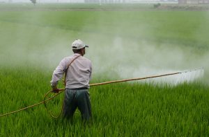 What are the pesticide formulations?