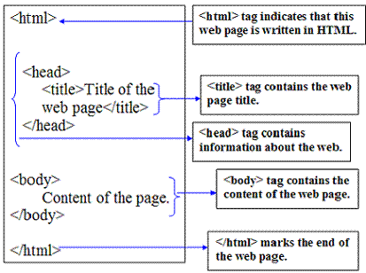Write the basic structure of HTML Page and explain basic HTML tags. | Grade 11