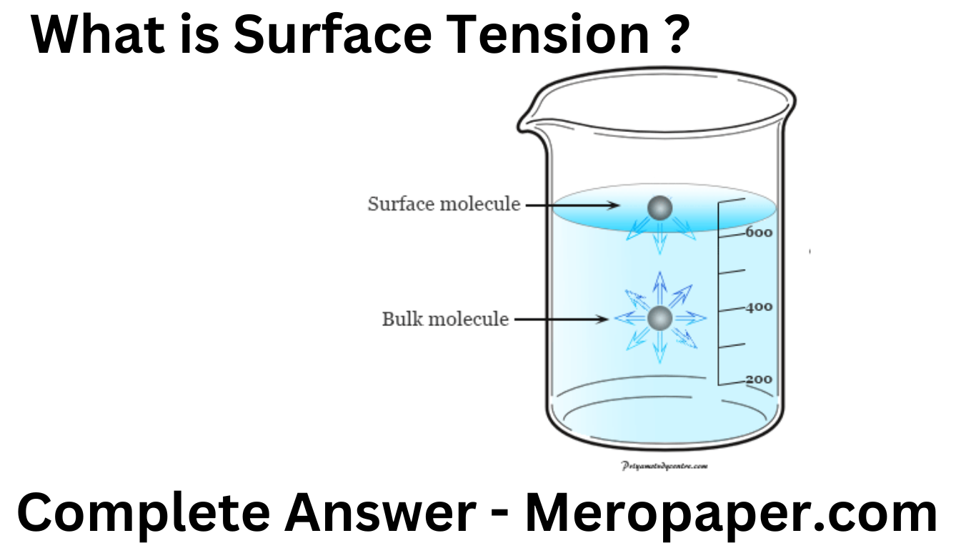 What is Surface Tension ?