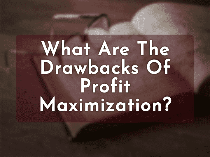 What Are the Drawbacks of Profit Maximization ?